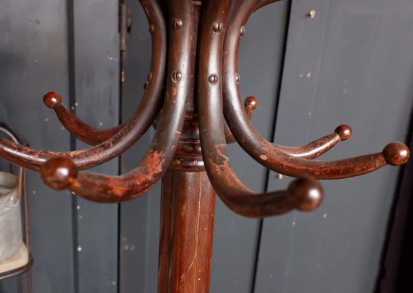 Antique Bentwood Coat & Hat Stand Tall 207cm Wood Rustic Freestanding Rack