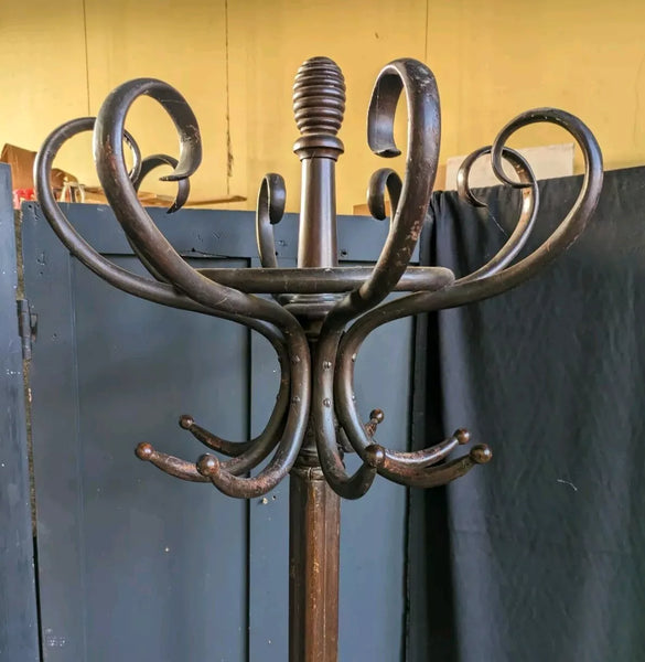 Antique Bentwood Coat & Hat Stand Tall 207cm Wood Rustic Freestanding Rack