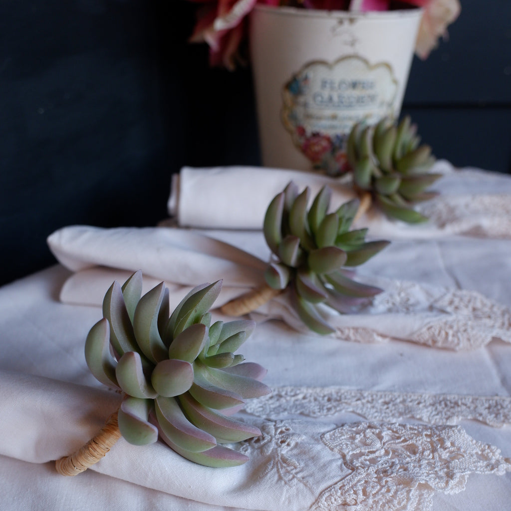 succulent napkins New Set of 4 NAPKIN RINGS Succulent Plant Decorative Table Farmhouse S – Riverside Interiors