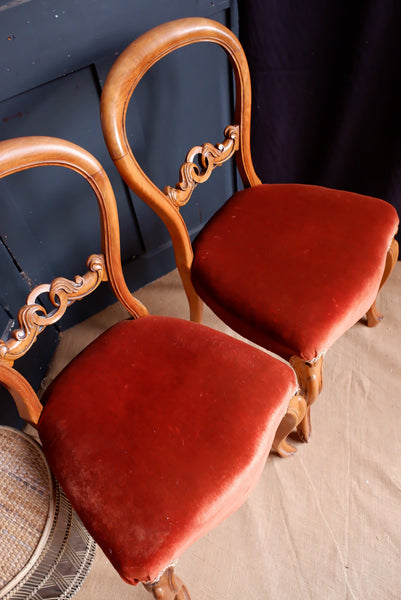 Pair of Antique Victorian Dining Chairs WALNUT Wood Carved Balloon Back