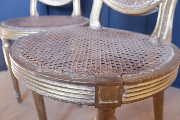 Pair of Antique FRENCH Louis GOLD Gilt Cane Shabby Chic Hall Boudoir Side Chairs