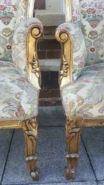 PAIR of Wing Back Antique LOUIS Shabby Chic French Winged Gold Gilt Arm Chairs